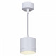 Подвесной светильник Reluce 53007 53007-0.9-001LD GX53 WT