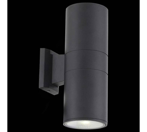 Накладной светильник ST-Luce Tubo 2 SL074.411.02