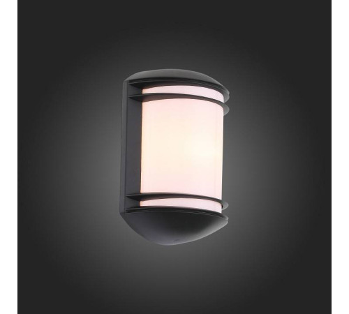 Накладной светильник ST-Luce Agio SL076.401.01