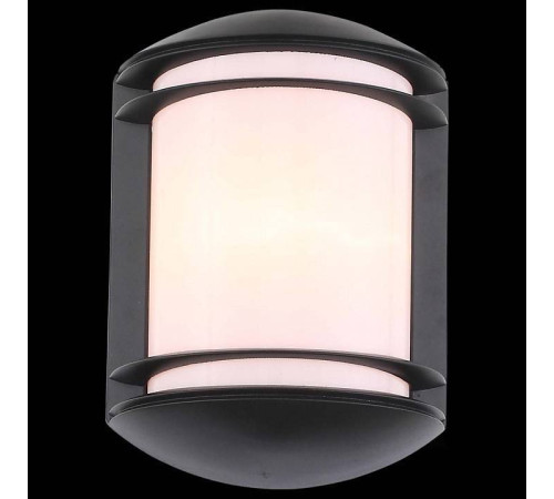 Накладной светильник ST-Luce Agio SL076.401.01