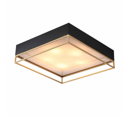 Накладной светильник ST-Luce Chodo SL1127.422.05