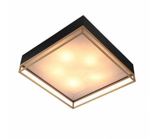 Накладной светильник ST-Luce Chodo SL1127.422.05