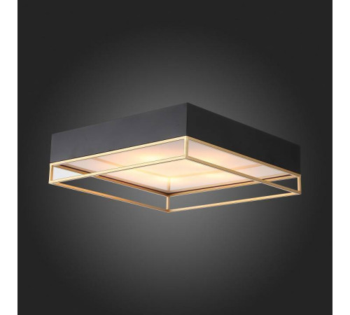 Накладной светильник ST-Luce Chodo SL1127.422.05