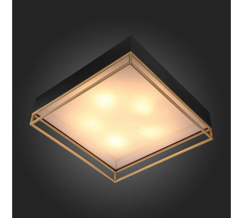 Накладной светильник ST-Luce Chodo SL1127.422.05