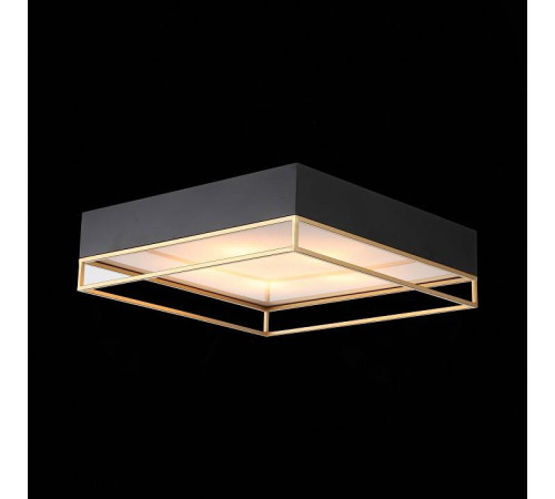 Накладной светильник ST-Luce Chodo SL1127.422.05