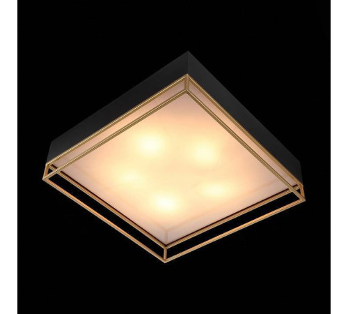 Накладной светильник ST-Luce Chodo SL1127.422.05