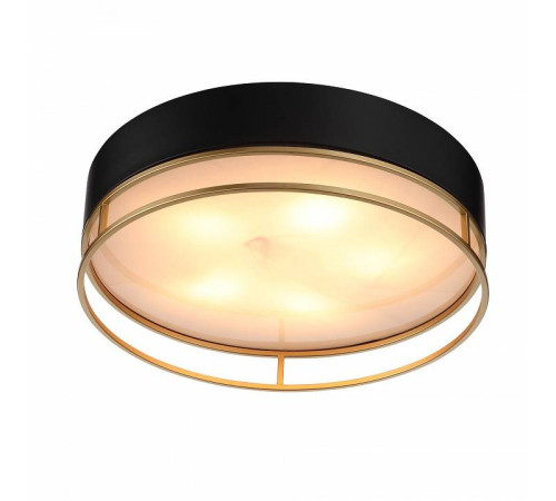 Накладной светильник ST-Luce Chodo SL1127.432.05