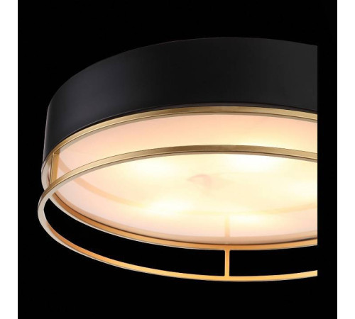 Накладной светильник ST-Luce Chodo SL1127.432.05