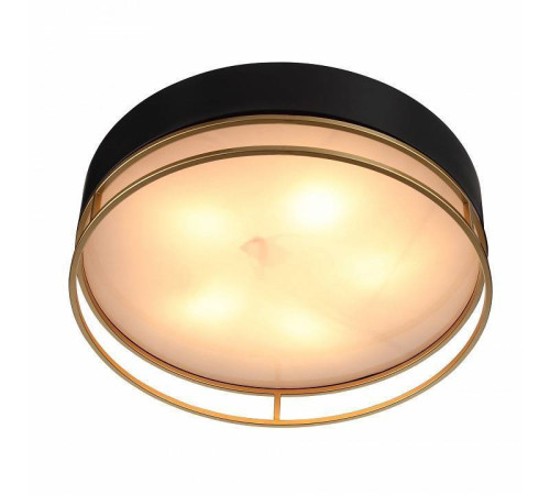 Накладной светильник ST-Luce Chodo SL1127.432.05