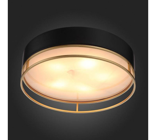 Накладной светильник ST-Luce Chodo SL1127.432.05