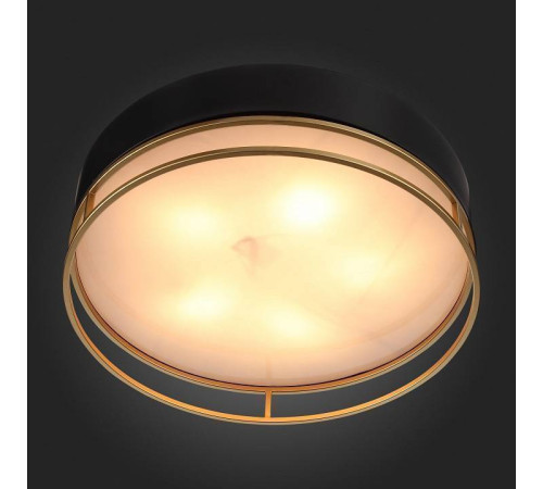 Накладной светильник ST-Luce Chodo SL1127.432.05