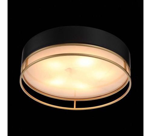 Накладной светильник ST-Luce Chodo SL1127.432.05