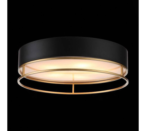 Накладной светильник ST-Luce Chodo SL1127.432.05