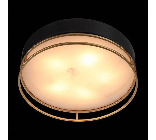 Накладной светильник ST-Luce Chodo SL1127.432.05