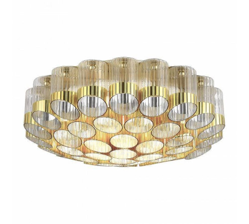 Потолочная люстра ST-Luce Accord SL1662.302.19