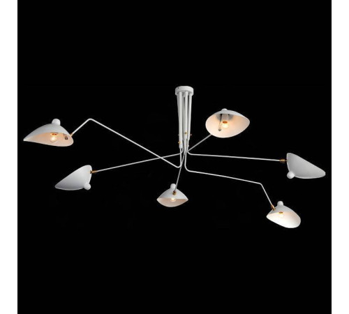 Люстра на штанге ST-Luce Spruzzo SL305.502.06