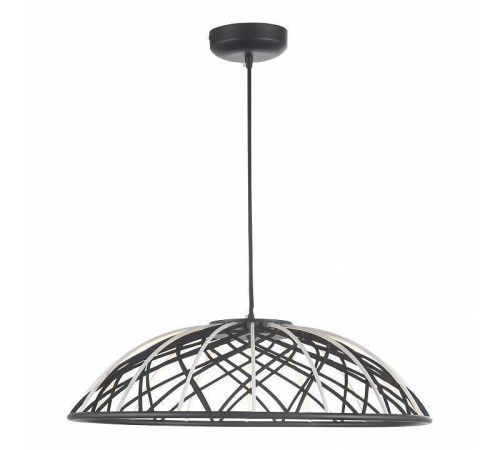 Подвесной светильник ST-Luce Bound SL6016.403.01