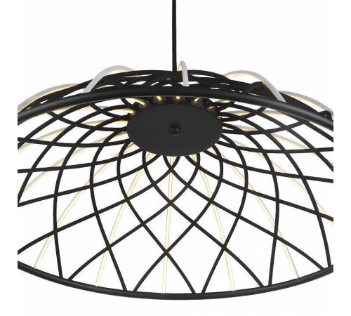 Подвесной светильник ST-Luce Bound SL6016.403.01