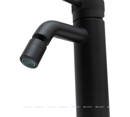 Смеситель для биде Allen Brau Priority 3.0 излив 122 мм черный матовый 5.31A04-31