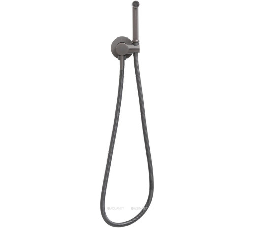 Смеситель с гигиеническим душем Allen Brau Priority 3.0 графит браш 5.31A29-MG