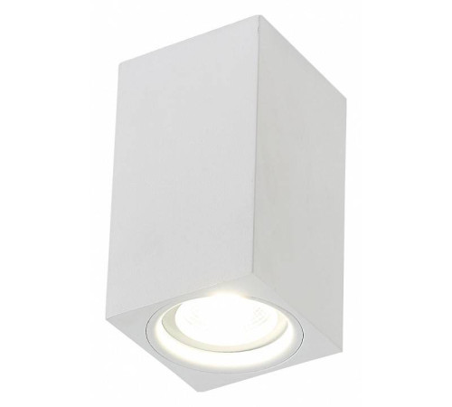 Накладной светильник SIMPLE STORY 2035 2035-1CLW