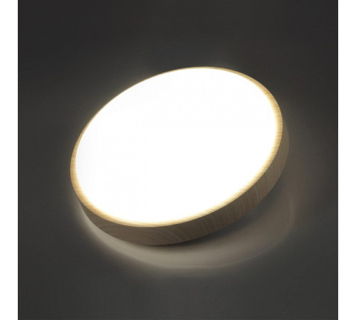 Накладной светильник Sonex PALE 7607/CLN