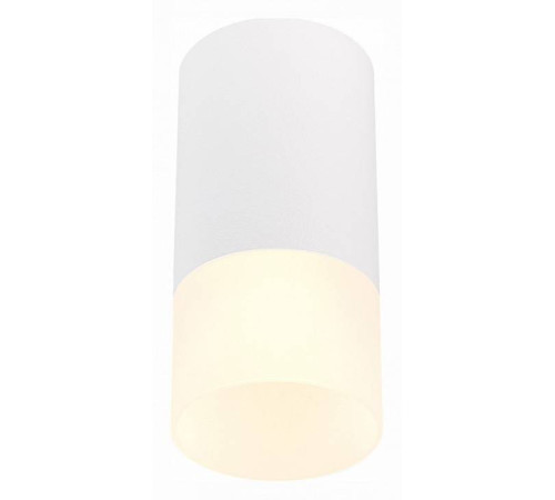 Накладной светильник ST-Luce ST100 ST100.512.01