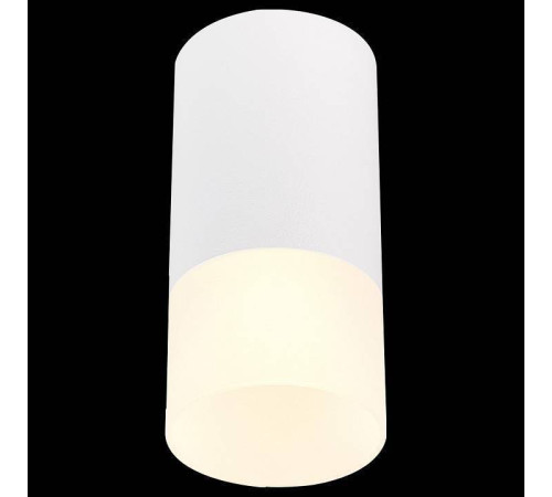 Накладной светильник ST-Luce ST100 ST100.512.01