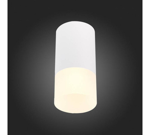 Накладной светильник ST-Luce ST100 ST100.512.01