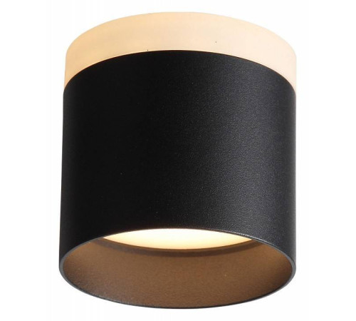 Накладной светильник ST-Luce Panaggio ST102.402.09