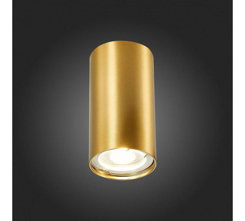 Накладной светильник ST-Luce ST110 ST110.207.01