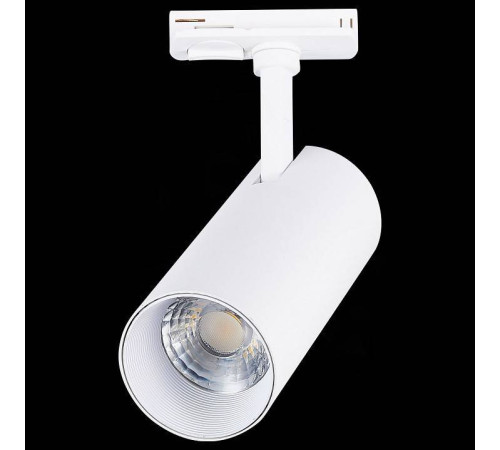 Светильник на штанге ST-Luce Mono ST350.546.15.36