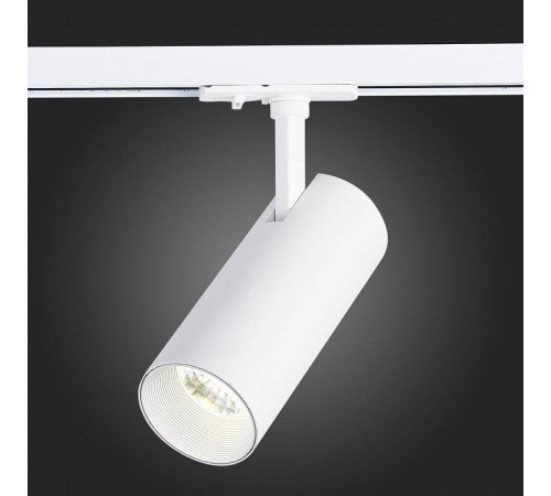 Светильник на штанге ST-Luce Mono ST350.546.15.36