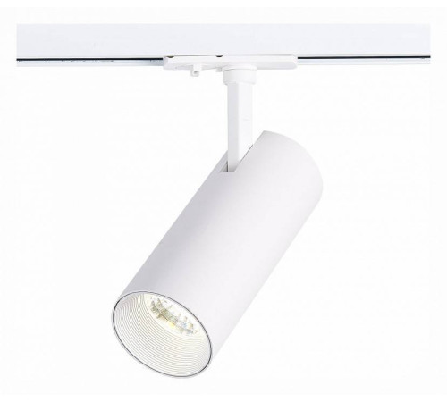 Светильник на штанге ST-Luce Mono ST350.546.20.36