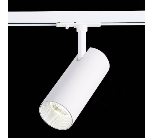 Светильник на штанге ST-Luce Mono ST350.546.20.36