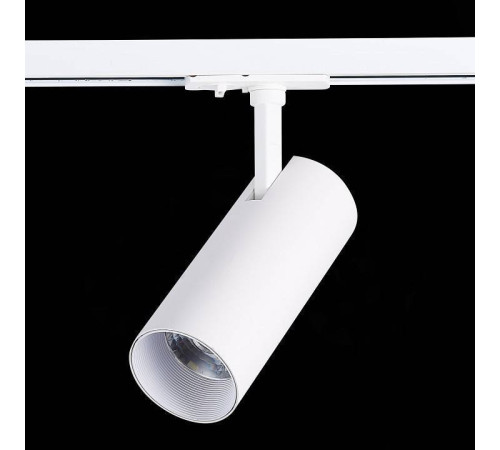 Светильник на штанге ST-Luce Mono ST350.546.20.36