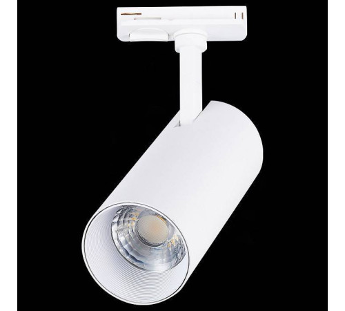 Светильник на штанге ST-Luce Mono ST350.546.20.36