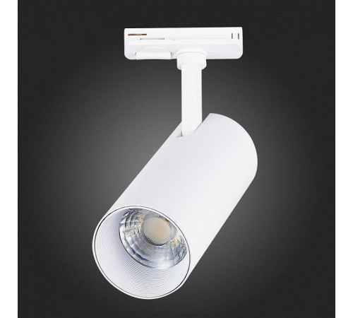 Светильник на штанге ST-Luce Mono ST350.546.20.36