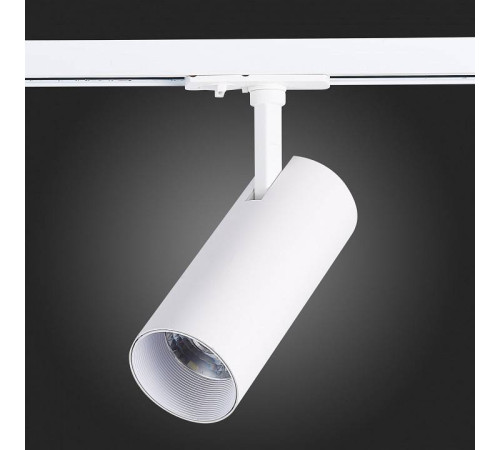 Светильник на штанге ST-Luce Mono ST350.546.20.36