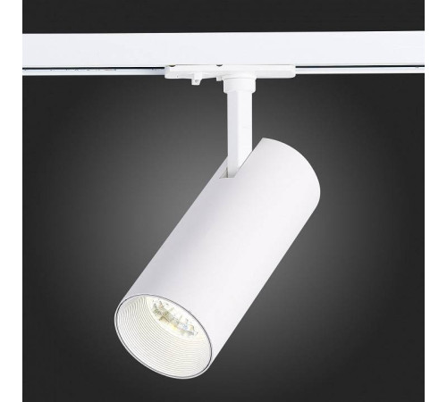 Светильник на штанге ST-Luce Mono ST350.546.20.36