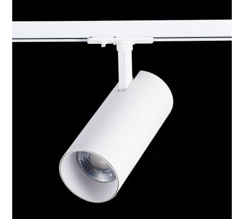 Светильник на штанге ST-Luce Mono ST350.546.30.36