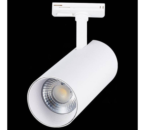 Светильник на штанге ST-Luce Mono ST350.546.30.36