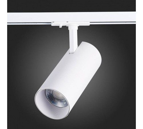 Светильник на штанге ST-Luce Mono ST350.546.30.36