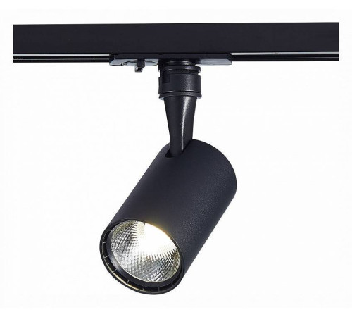 Светильник на штанге ST-Luce Cami ST351.436.10.36