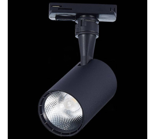 Светильник на штанге ST-Luce Cami ST351.436.10.36