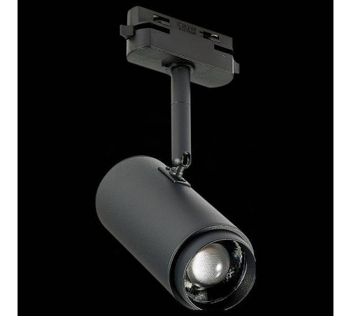 Светильник на штанге ST-Luce Zoom ST600.446.12