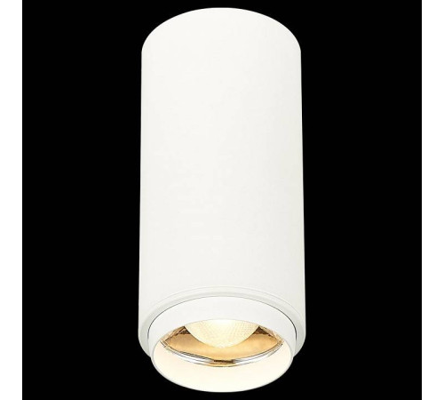 Накладной светильник ST-Luce Zoom ST600.532.10