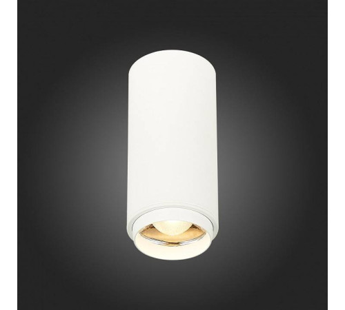 Накладной светильник ST-Luce Zoom ST600.532.10