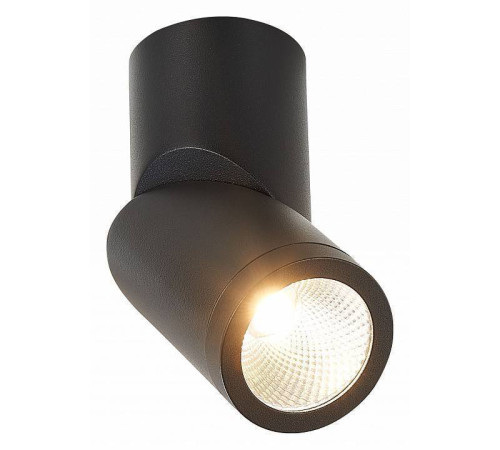 Светильник на штанге ST-Luce ST650 ST650.442.10