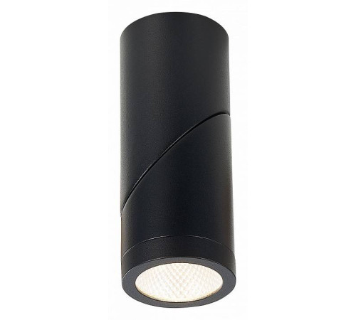 Светильник на штанге ST-Luce ST650 ST650.442.10